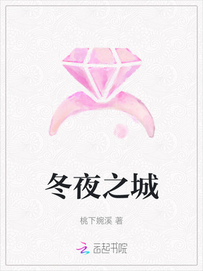 冬夜之城在线阅读