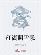 江湖照雪录在线阅读