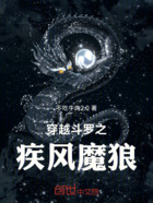 穿越斗罗之疾风魔狼在线阅读