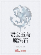 賈寶玉與魔法石在線閱讀