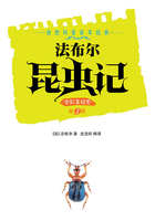 法布尔昆虫记（第2册）在线阅读