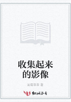 收集起來的影像在線閱讀