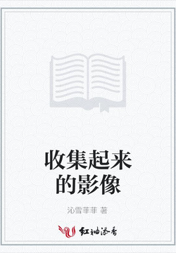 收集起来的影像 封面