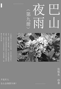 巴山夜雨（9）