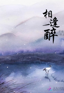 相逢一場醉