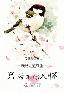 我路過這紅塵只為擁你入懷