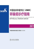 中国临床肿瘤学会（CSCO）卵巢癌诊疗指南2019