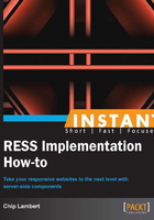 INSTANT RESS Implementation How-to在线阅读