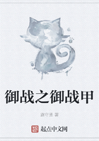 御战之御战甲在线阅读