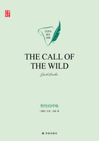 野性的呼唤（The Call of the Wild）