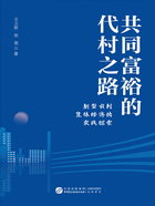 共同富裕的代村之路：新型农村集体经济的实践探索在线阅读