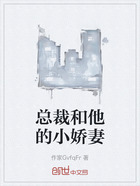 总裁和他的小娇妻在线阅读