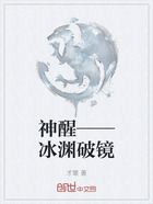 神醒——冰渊破镜在线阅读