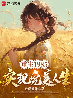 重生1985，实现完美人生在线阅读