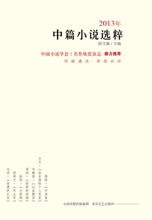 2013年中篇小說選粹