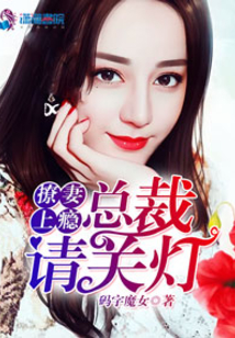 撩妻上癮:總裁請關燈