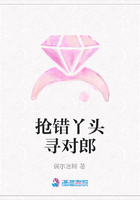 搶錯(cuò)丫頭尋對(duì)郎在線閱讀