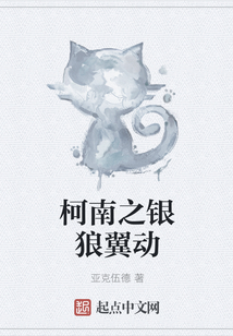 柯南之银狼翼动