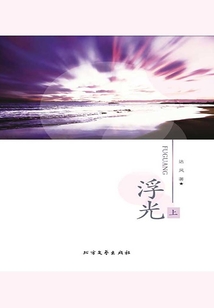 浮光（上）