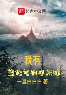 我有能化氣的奪天珠
