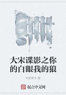 大宋諜影之你的白眼我的狼