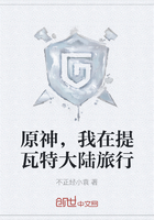 原神,我在提瓦特大陆旅行在线阅读