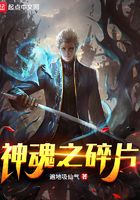 神魂之碎片在線閱讀