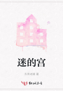 迷的宮
