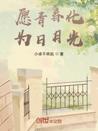 愿青春化为日月光在线阅读
