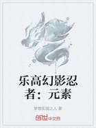 乐高幻影忍者:元素在线阅读