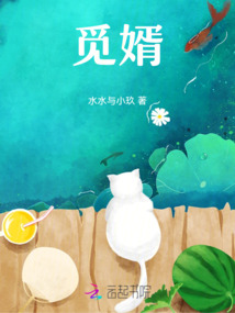 覓婿