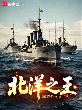 北洋之王在线阅读