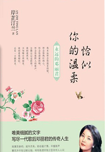 恰似你的溫柔：永遠的鄧麗君