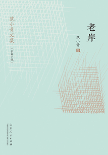 老岸