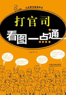 打官司看图一点通