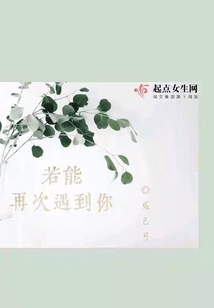 若能再次遇到你