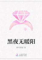 黑夜無(wú)暖陽(yáng)在線閱讀