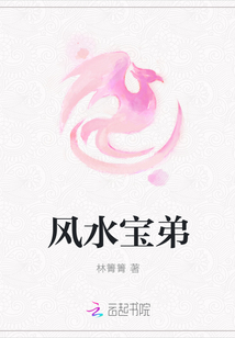 风水宝弟