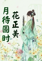 月待圓時花正美在線閱讀