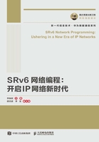 SRv6网络编程：开启IP网络新时代在线阅读