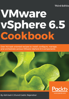 VMware vSphere 6.5 Cookbook（Third Edition）在线阅读