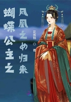 蝴蝶公主之凤凰之女归来