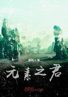 元素之君在线阅读