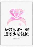 惹爱成婚:霸道墨少请轻撩在线阅读