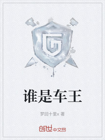 谁是车王