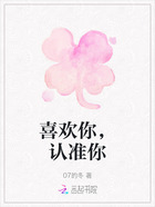 喜欢你,认准你在线阅读