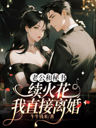 老公和秘书续火花,我直接离婚在线阅读
