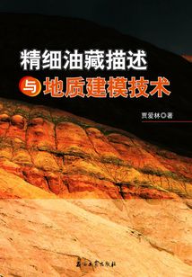 精細油藏描述與地質(zhì)建模技術(shù)