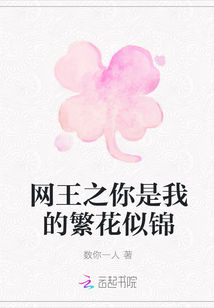 網(wǎng)王之你是我的繁花似錦