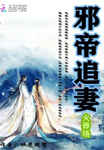 邪帝追妻火葬場